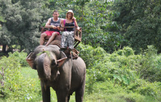 Tailandia elefantes